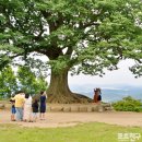 충일전장 | 케테 콜비츠/카테리네 크라머,한강작가 추천도서,한강소설가가 꼽은&#39;내 인생의 책&#39;5권,까라마조프가...
