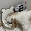 퍼피베이크 이미지