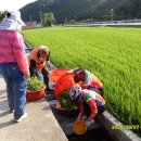 스마일농장 이미지