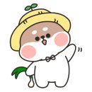 몽드드뚜뚜 이미지