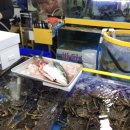 석화목장 이미지