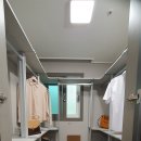 유림노르웨이숲 이미지