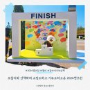 펫츠런 애견 | 보들이와 산책하고 기부하고 즐기다온 2024 펫츠런