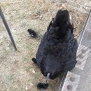 바구니공인중개사사무소 이미지