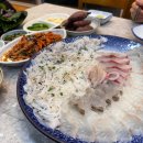 산오징어 - 서구 북비산로 236 | 산오징어