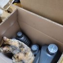 공임나라 온천점 이미지