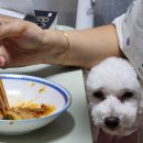 댕카 미용실 | 9/11~17 평일엔 일만 해욥