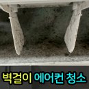 라이즈빌 이미지