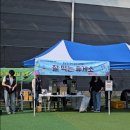 꿈끼발산 청소년 댄스 | 2025 용감한축제 노원 지역 축제 행사 후기