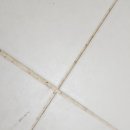 꽃바위 아이파크 이미지