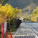 만천하스카이 라운지카페 이미지