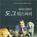 도그PC 이미지