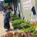 자선종묘사 네이버블로그