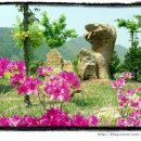 소백산향기나라 이미지