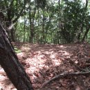 미실경로당 이미지