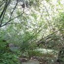 Beacon Hill Park 이미지