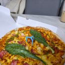 피자알볼로 신메뉴:: 나폴리맛피자 세트 솔직 후기! 새우 반, 핫치킨 반?! 🍕
