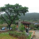 도초 고란리 매향비 이미지