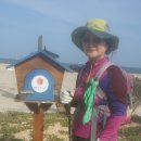 병곡면사무소 이미지