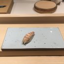스시이로 | 서울 가성비 스시 오마카세 [스시이로] 런치 후기 + 예약 꿀팁