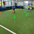 까치울초 이미지