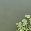 가덕 끝집 이미지