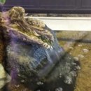 동촌소하천 이미지