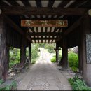 울릉예림원 Daum카페