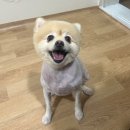 컴피 화명점 이미지