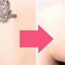 피노코로 이미지