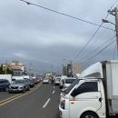 방어축제거리 이미지