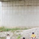 영우농장3 이미지