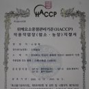 비사벌유치원 이미지