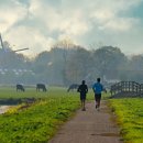 참재활의학과의원 이미지