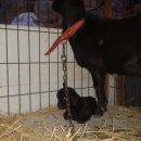 007당구장 이미지