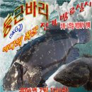 둥근바다