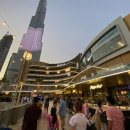 [코로나 두바이]두바이 몰의 아쿠아리움과 분수쇼 그리고 버즈 칼리파 이미지