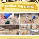 천원목장 이미지