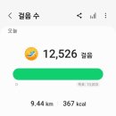 차이킹 - 전주시 완산구 홍산남로 14 | 차이킹