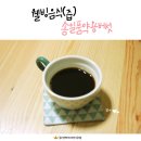 송일품약용버섯