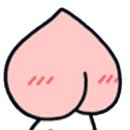 조앤박의원 이미지