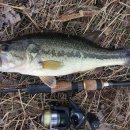 용전골프연습장 이미지