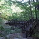 유천리 삼거리 이미지