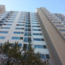 구갈로1 이미지