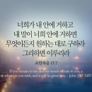 안수의과병원