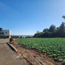 제주탐나는부동산공인중개사사무소 이미지