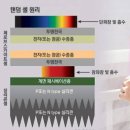 비바 태양광발전소 이미지