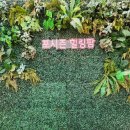 포시즌관광농원