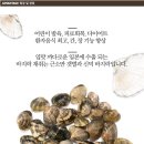 신덕바지락마을기업 이미지