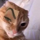 나니가